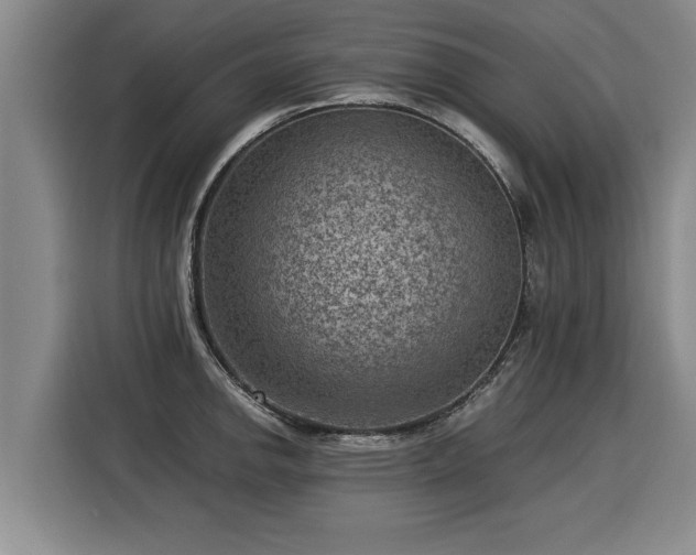 X0000116061142200911271237