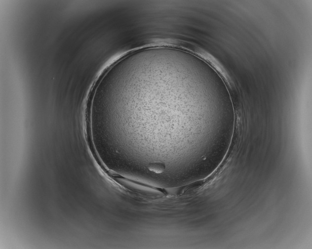 X0000116061143200911271237