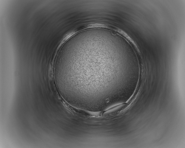 X0000116061145200911271237