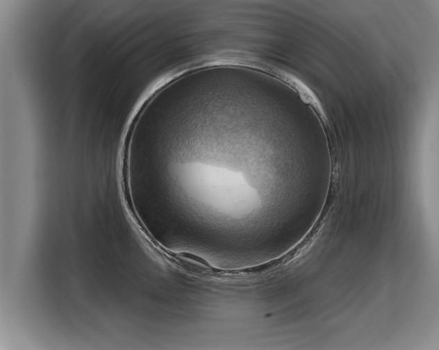 X0000116061146200911271237