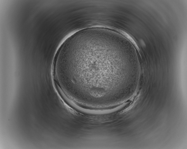 X0000116061149200911271237