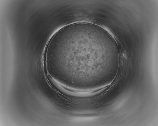X0000116061151200911271237