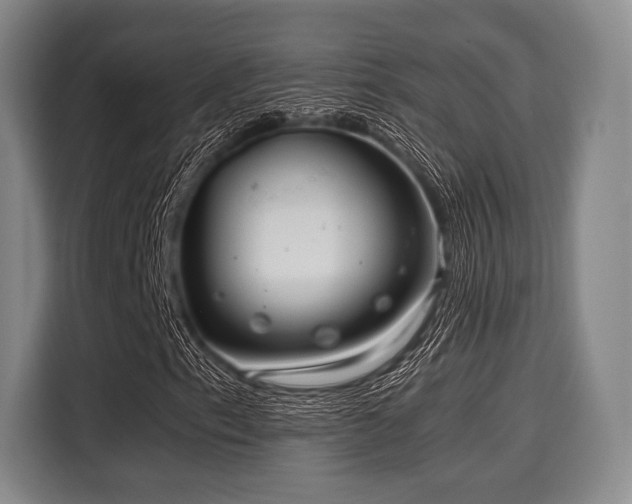X0000116061153200911271237