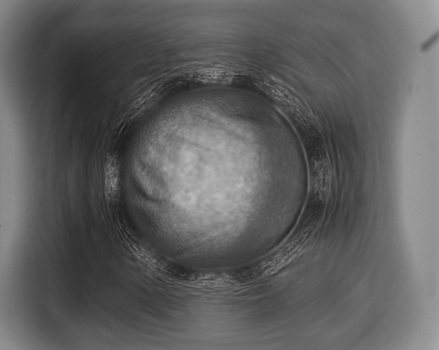 X0000116061154200911271236