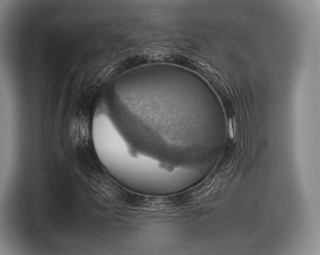 X0000116061155200911271236
