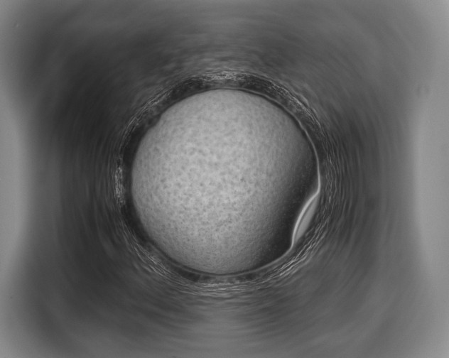 X0000116061156200911271236