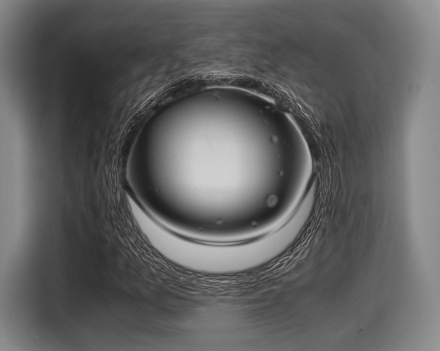 X0000116061157200911271236