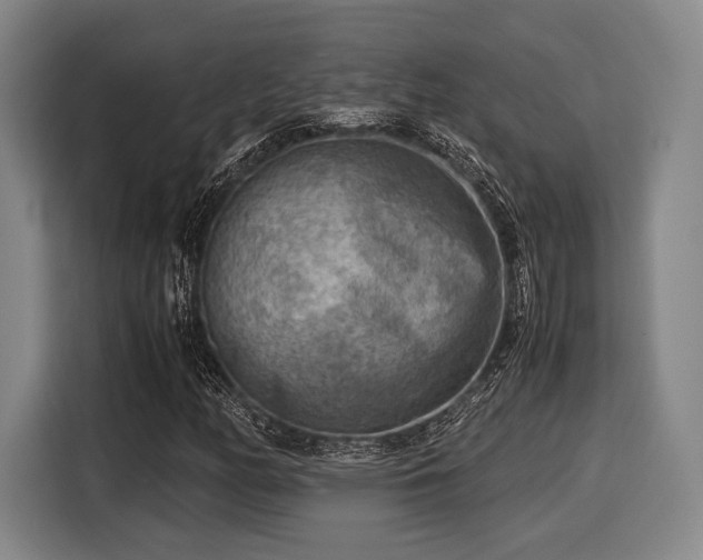 X0000116061158200911271236