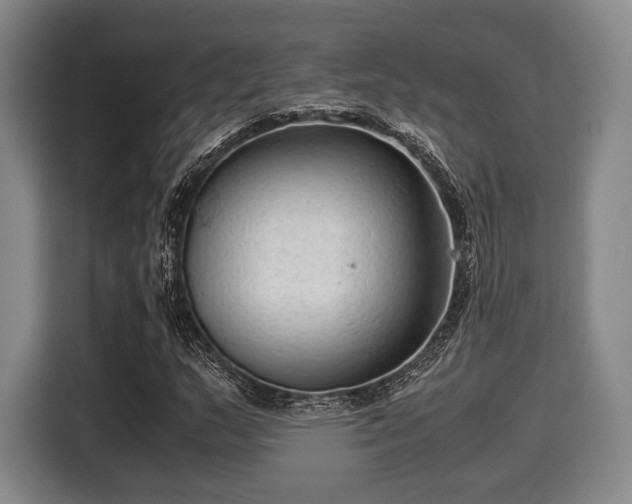 X0000116061159200911271236