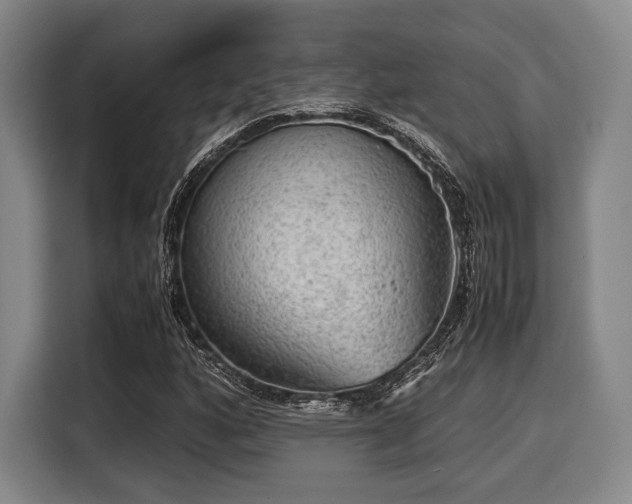 X0000116061160200911271236
