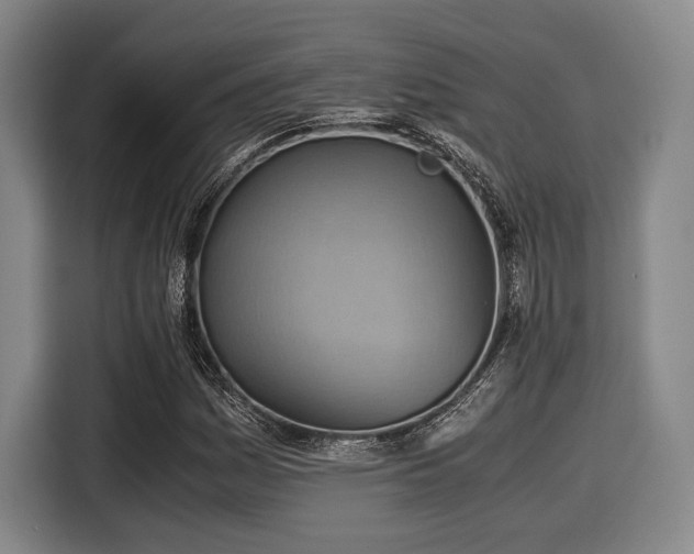 X0000116061161200911271236
