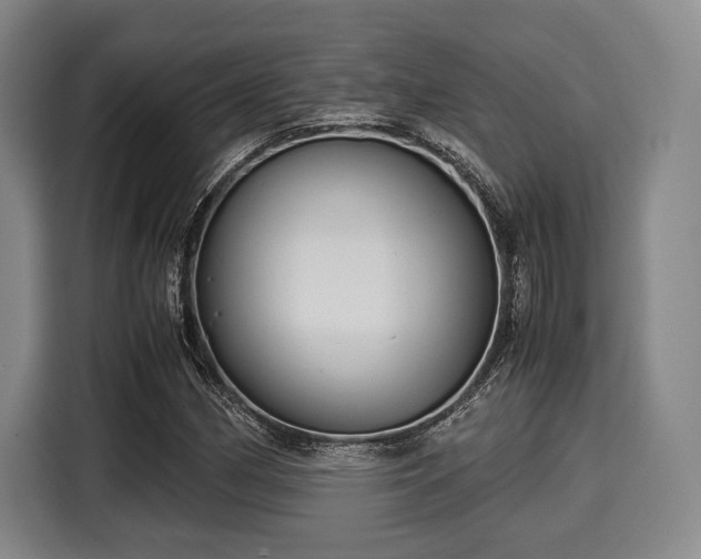 X0000116061162200911271236