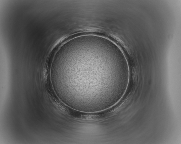 X0000116061163200911271236