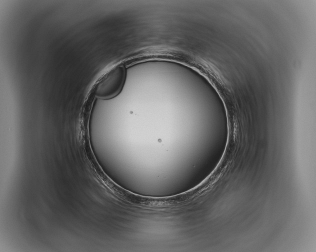 X0000116061164200911271236