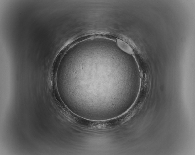 X0000116061165200911271236