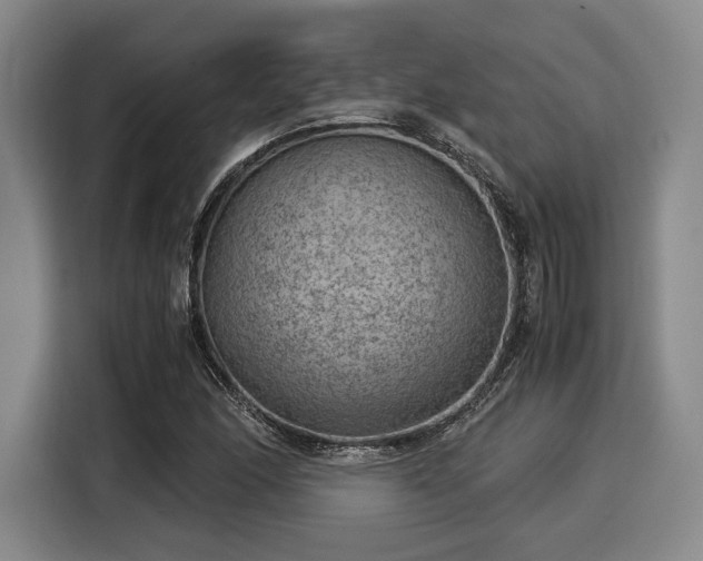 X0000116061166200911271236