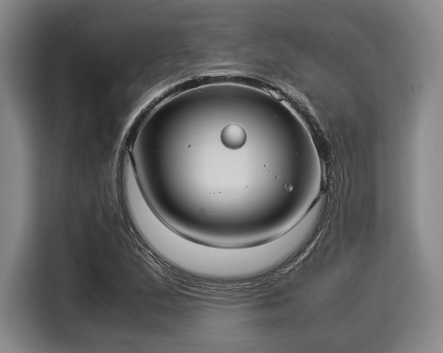 X0000116061167200911271236