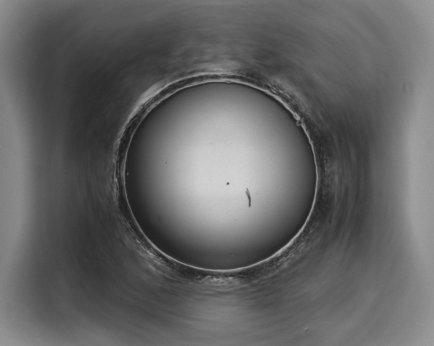 X0000116061168200911271236