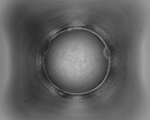 X0000116061169200911271236