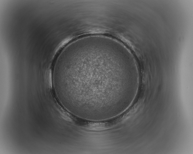 X0000116061171200911271236