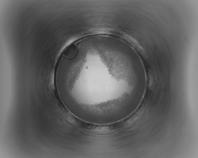 X0000116061174200911271236
