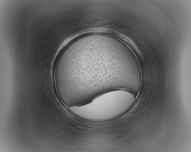 X0000116061176200911271236