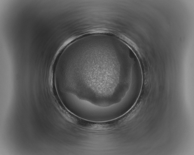 X0000116061179200911271236