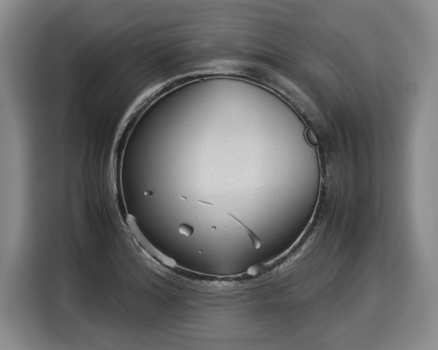 X0000116061180200911271236