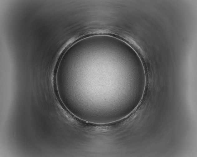 X0000116061181200911271236