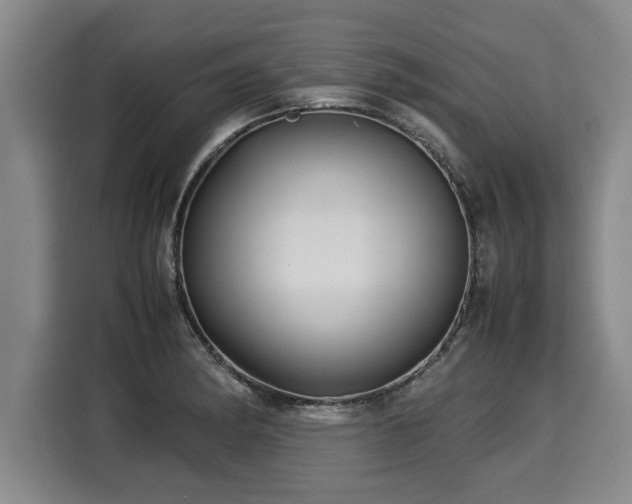X0000116061182200911271236