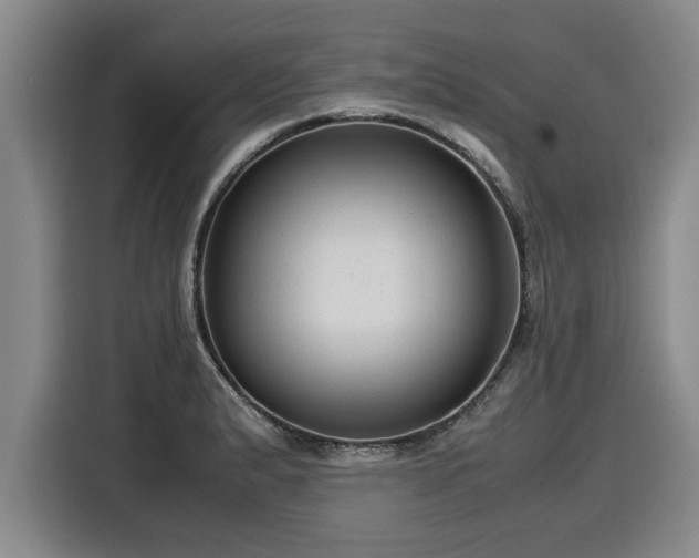 X0000116061183200911271236