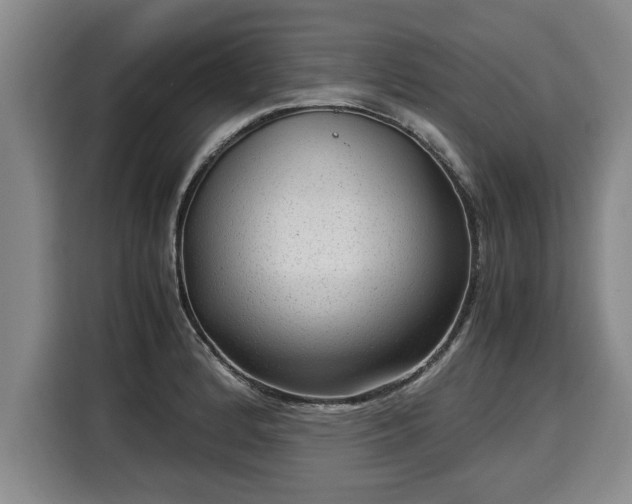 X0000116061184200911271236