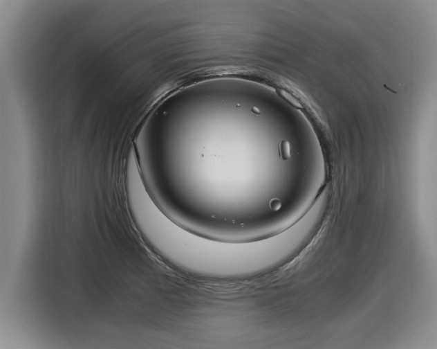 X0000116061185200911271236