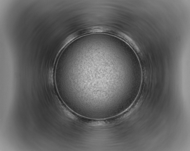 X0000116061186200911271236