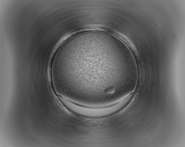 X0000116061188200911271236