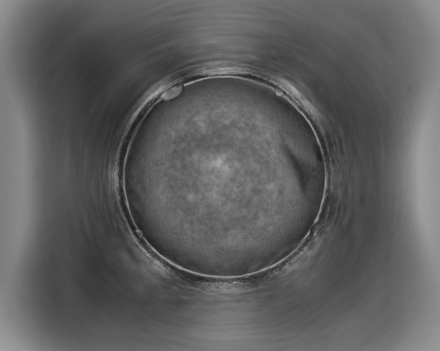 X0000116061189200911271236