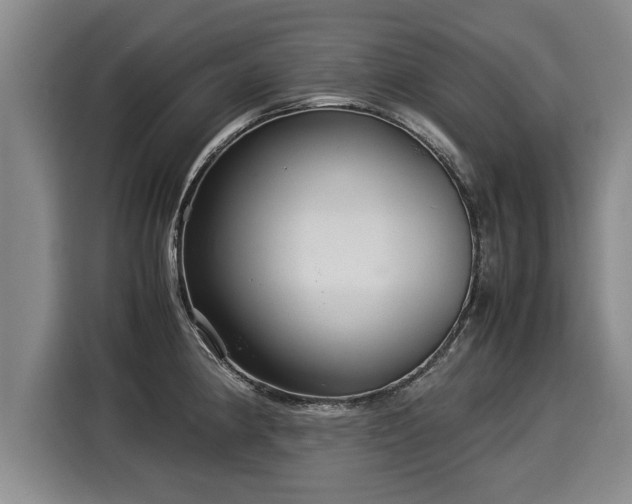 X0000116061190200911271236