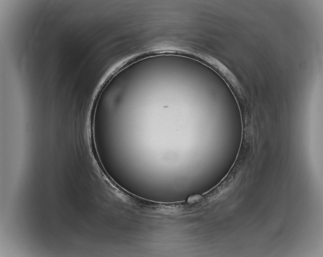 X0000116061191200911271236