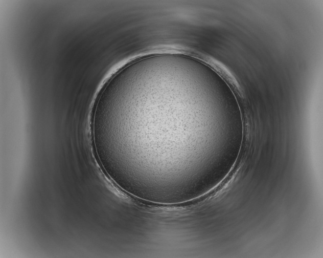 X0000116061192200911271236