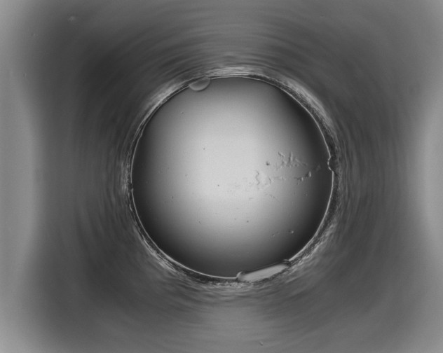 X0000116061193200911271236