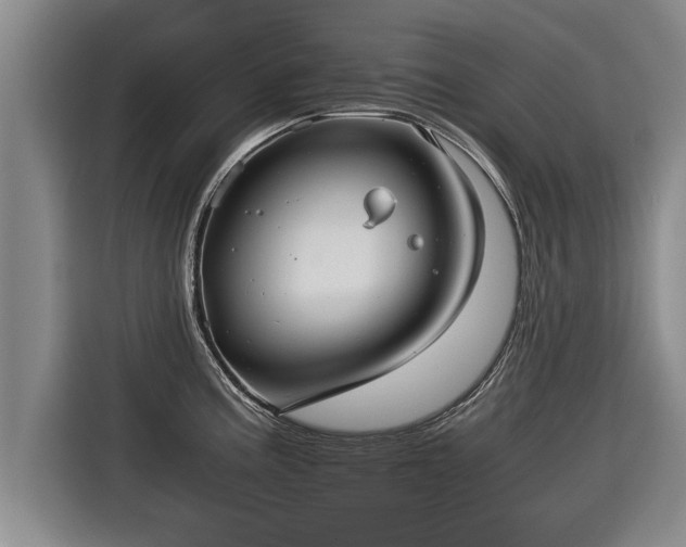 X0000116061195200911271236