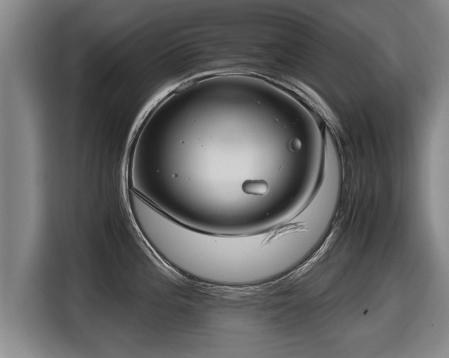 X0000116061196200911271236