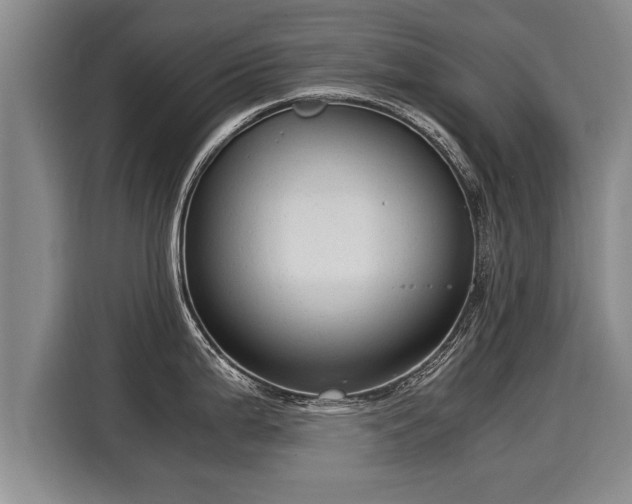 X0000116061199200911271236