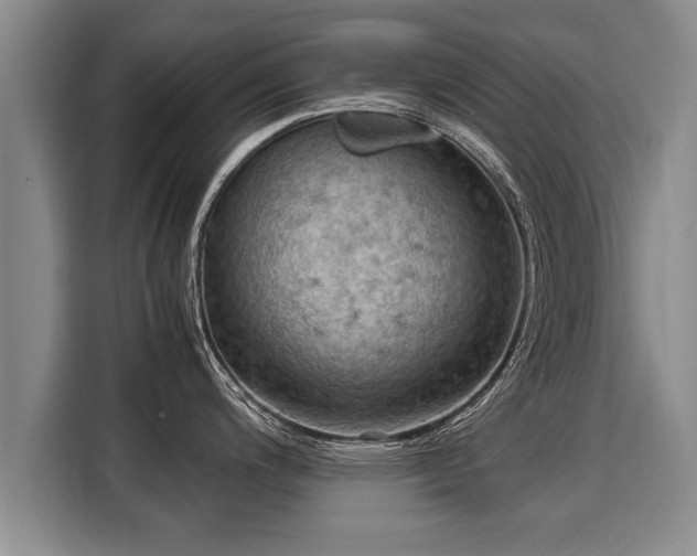 X0000116061200200911271236