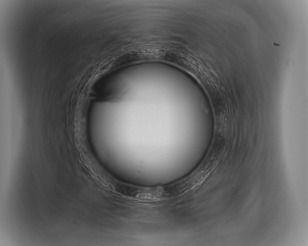 X0000116061201200911271235