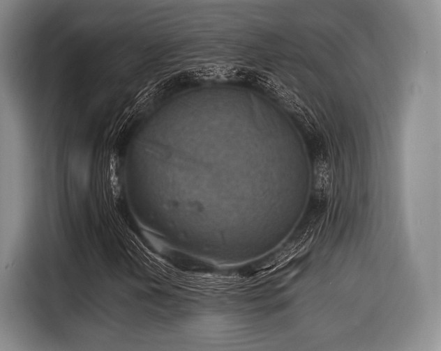 X0000116061202200911271235