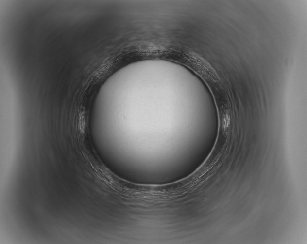 X0000116061204200911271235