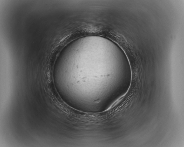X0000116061205200911271235