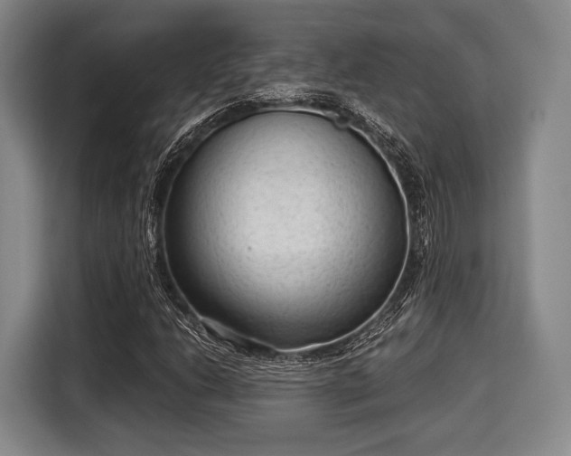 X0000116061206200911271235