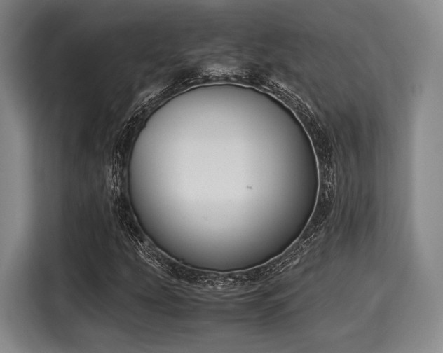 X0000116061207200911271235